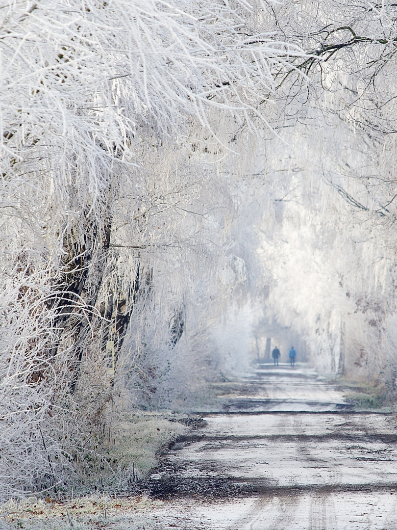 Ein Wintermärchen…V 