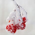 Ein Wintermärchen…VI