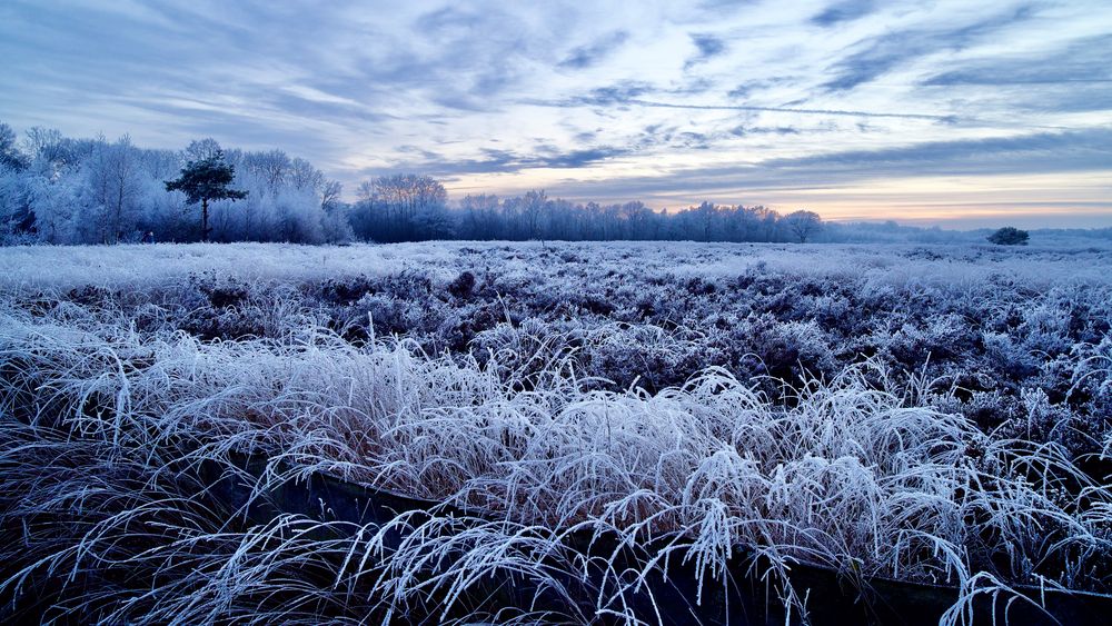 Ein Wintermärchen…X