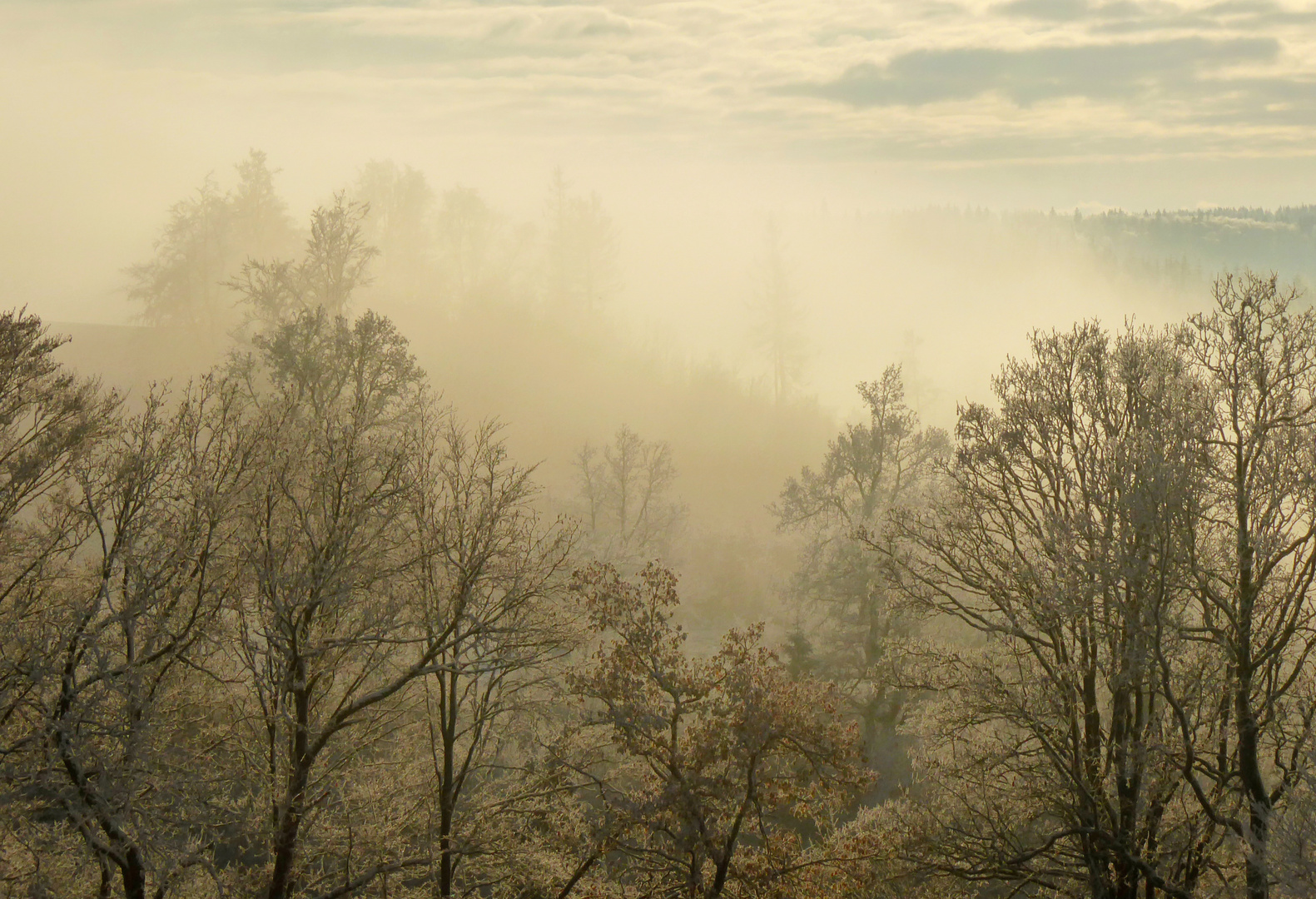 Ein Wintermorgem beginnt .. 