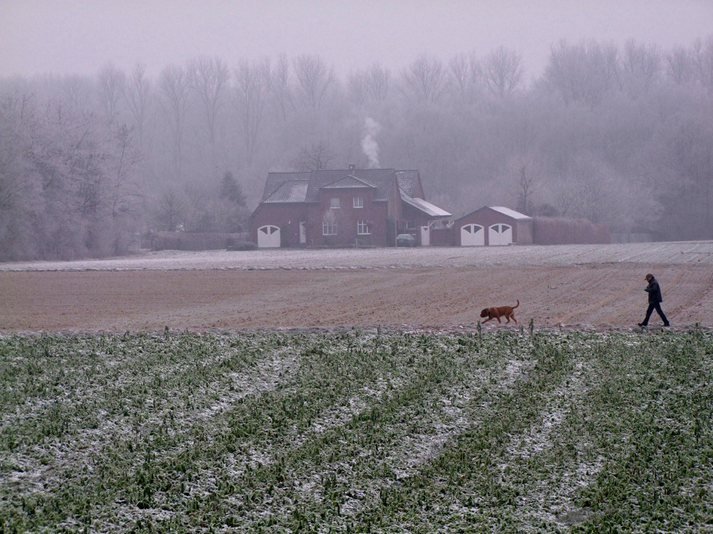 Ein Wintermorgen ...