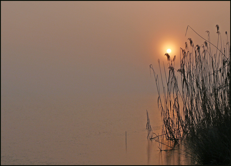 ein Wintermorgen