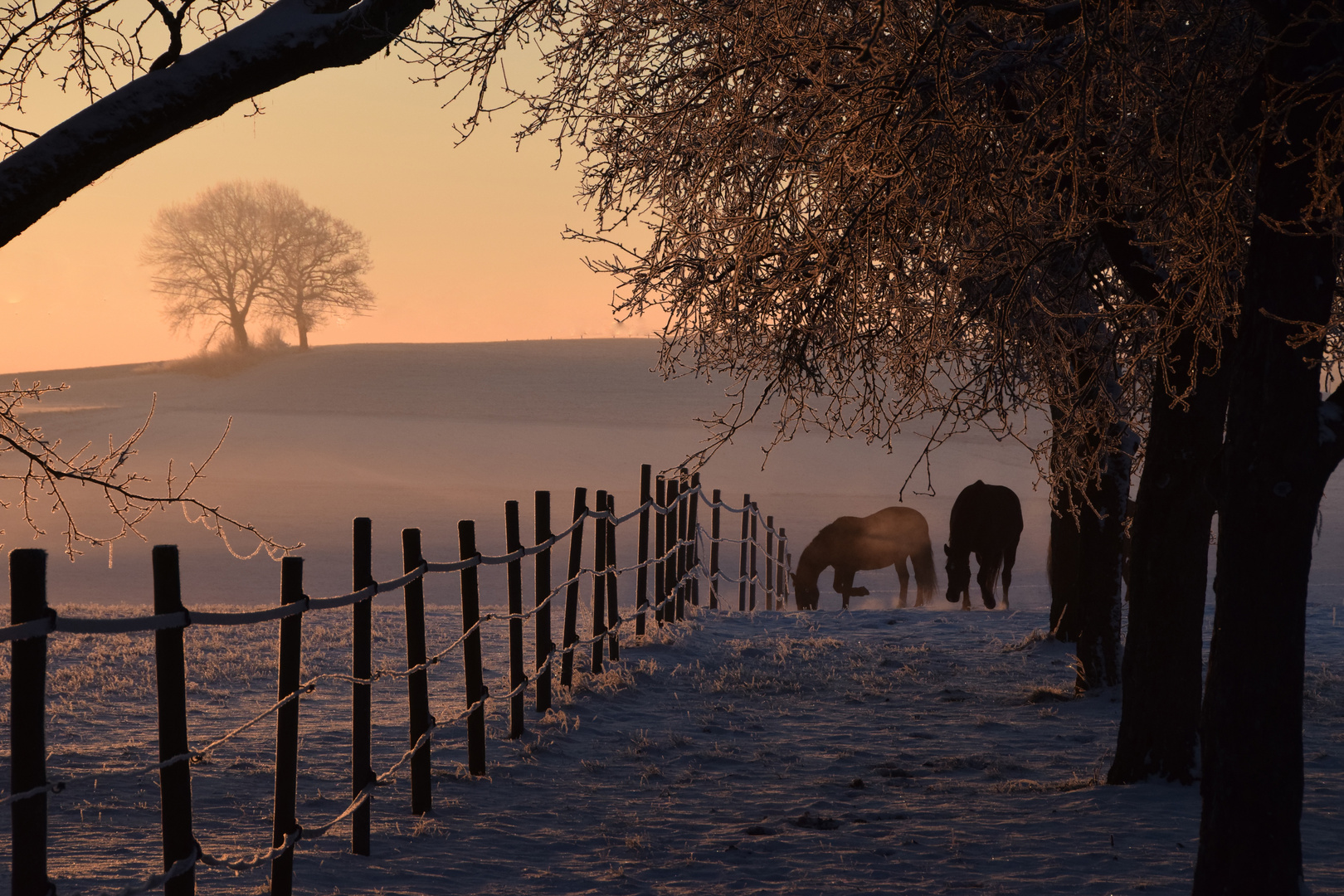 Ein Wintermorgen