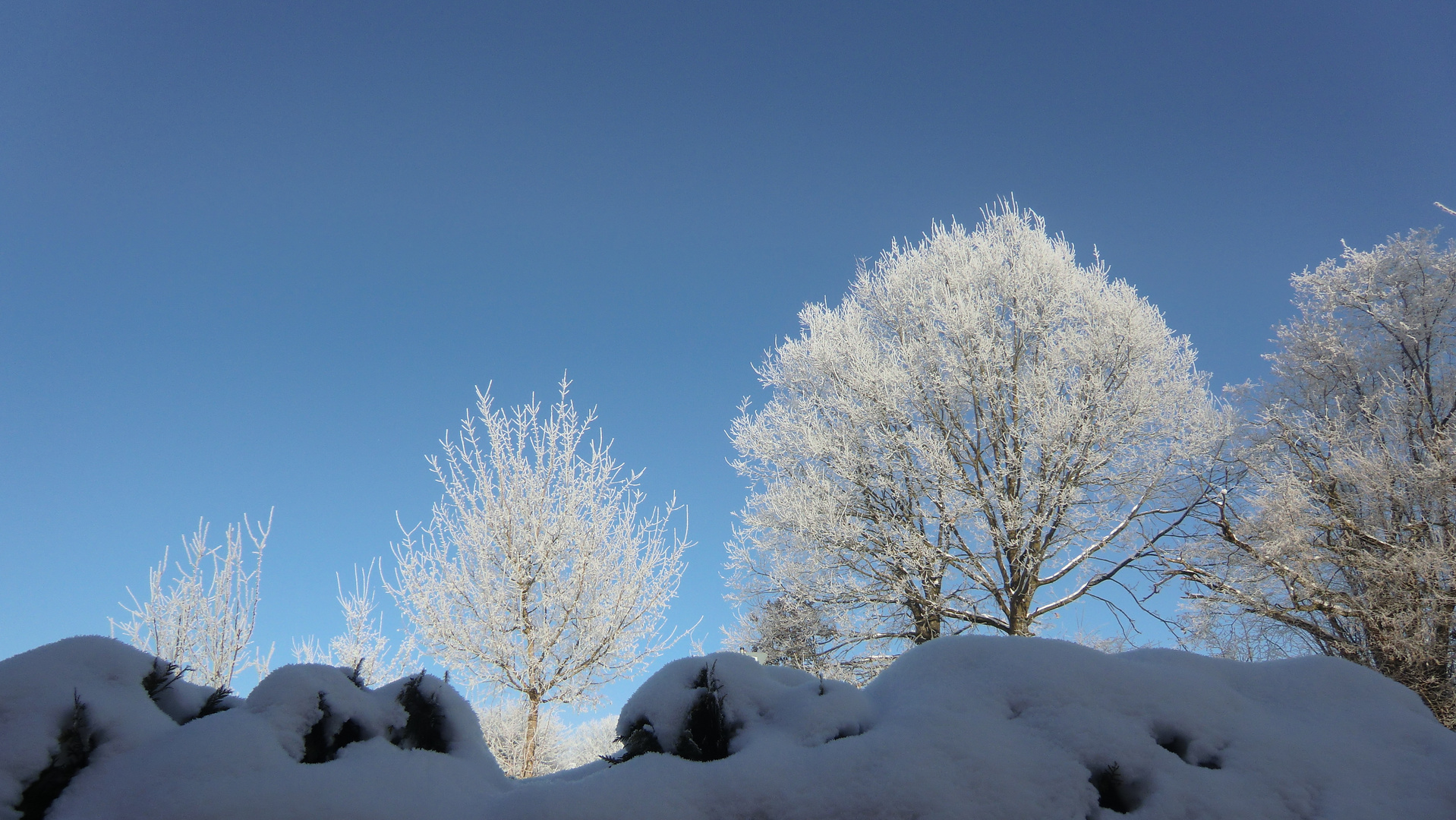 Ein Wintermorgen