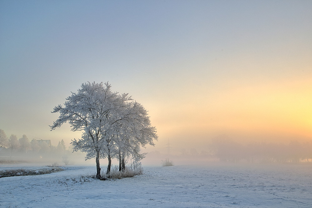 Ein Wintermorgen