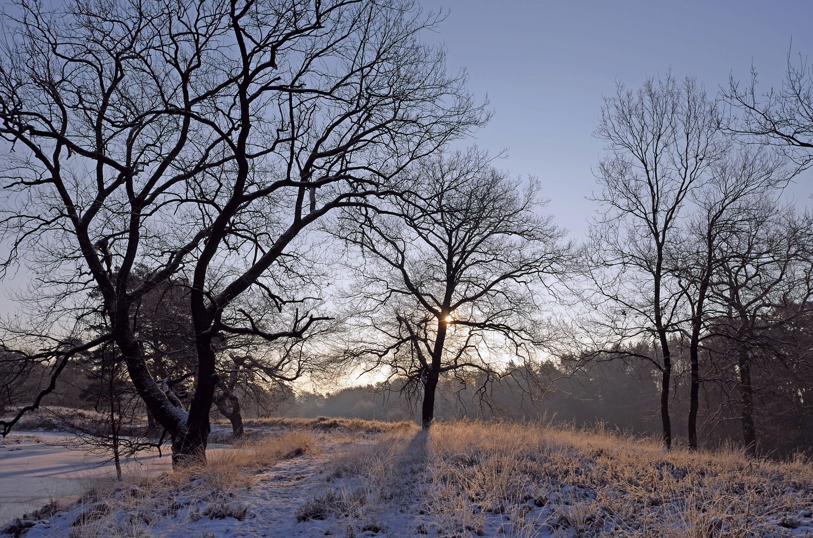 Ein Wintermorgen