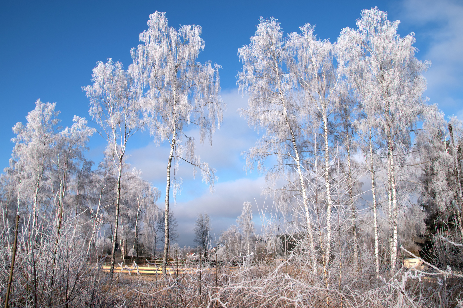 Ein Wintermorgen 