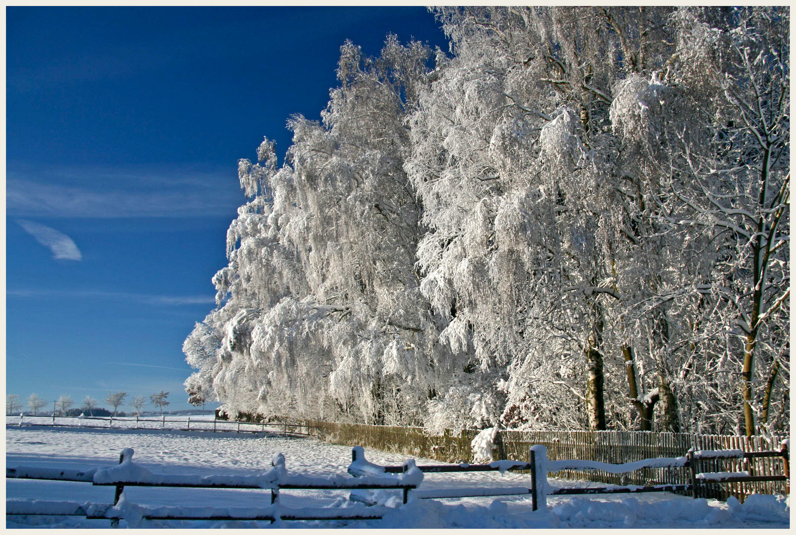 Ein Wintermorgen.