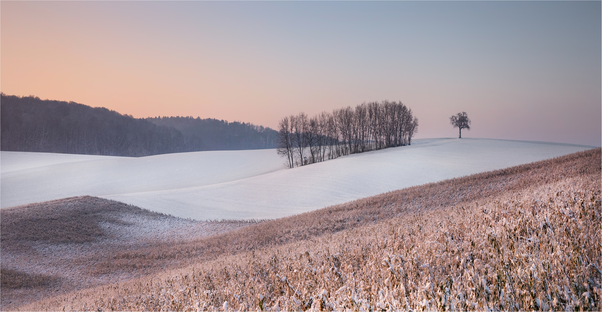 Ein Wintermorgen