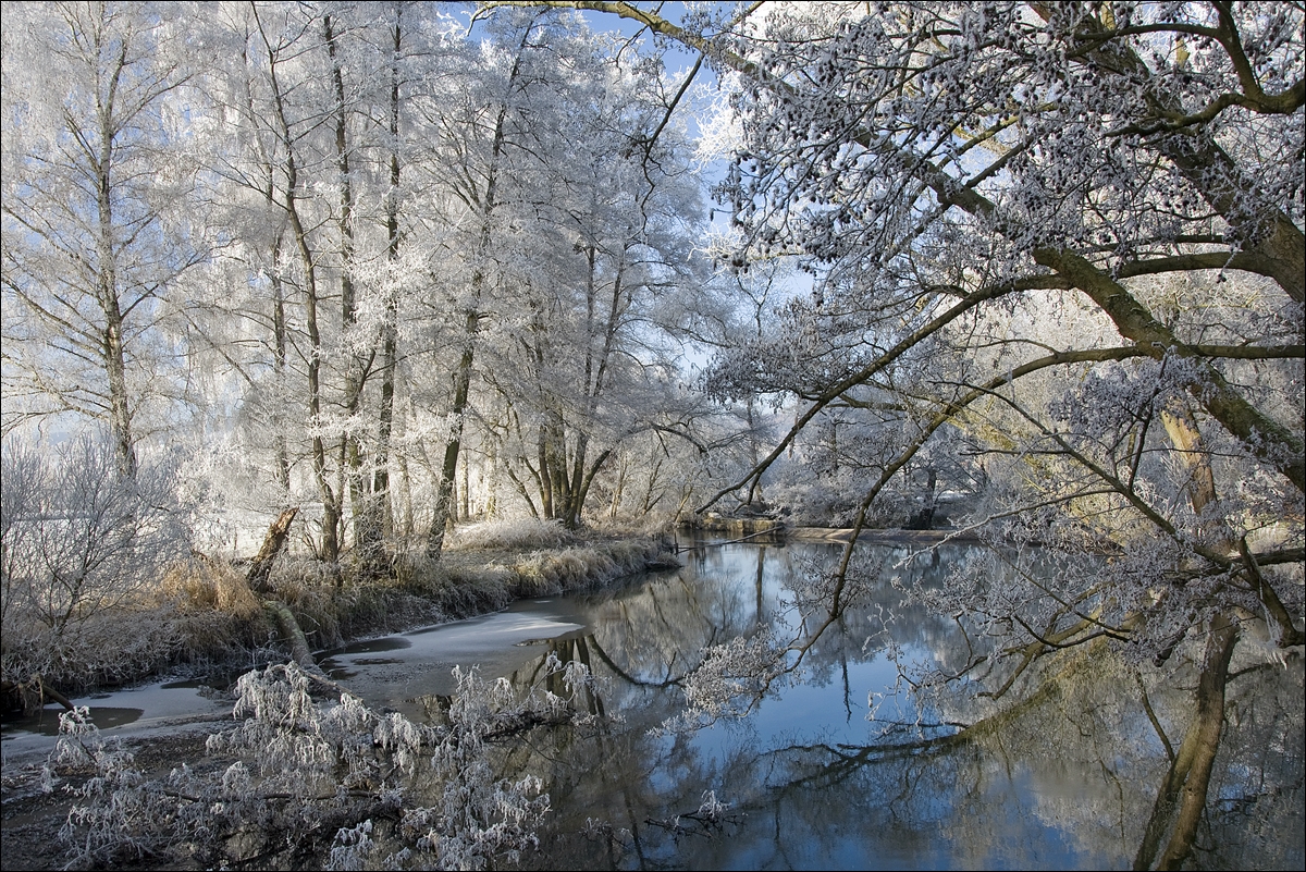 ein Wintermorgen am Fluss