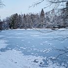 Ein Wintermorgen am großen Lasbachteich