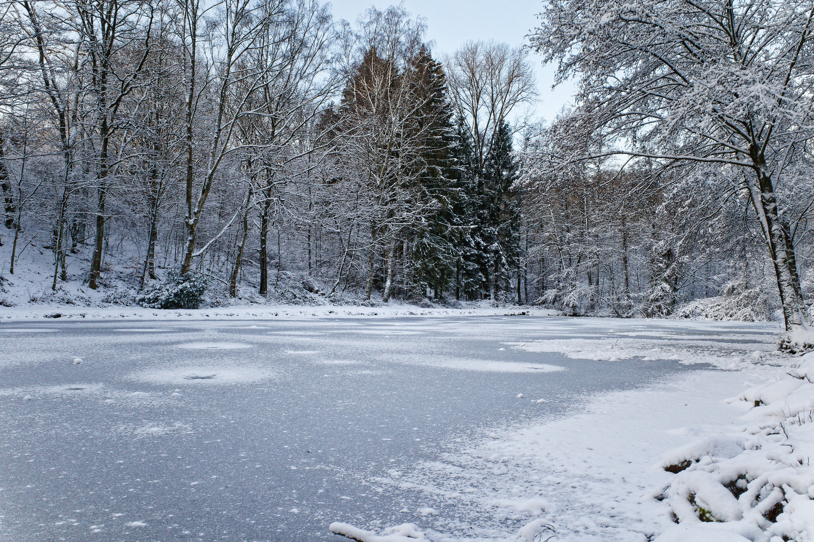 Ein Wintermorgen am kleinen Lasbachteich