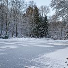 Ein Wintermorgen am kleinen Lasbachteich