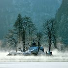 ein Wintermorgen am Königssee