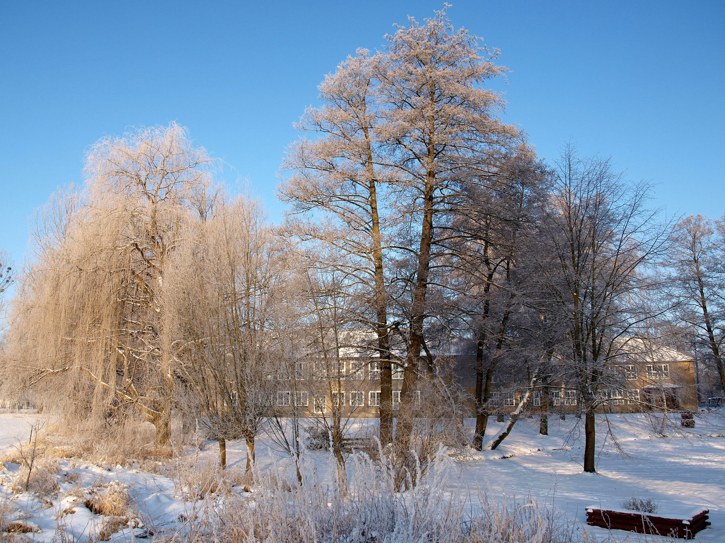 Ein Wintermorgen an der Baruther Grundschule