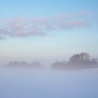 ein Wintermorgen auf der Insel Rügen