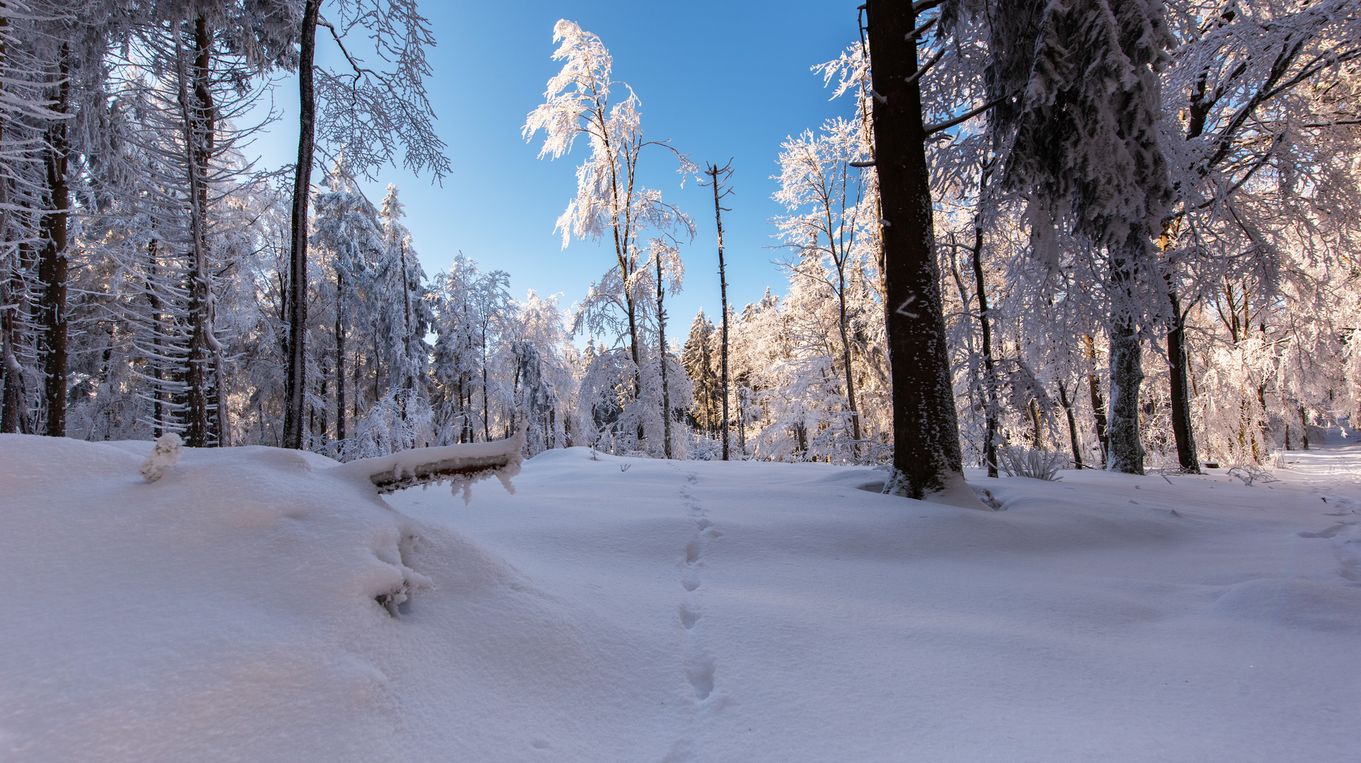 Ein Wintermorgen