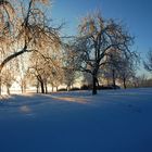 Ein Wintermorgen bei Minus 19 Grad