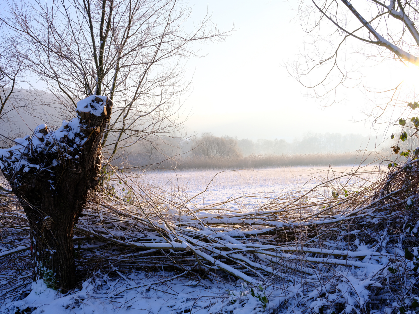 Ein Wintermorgen