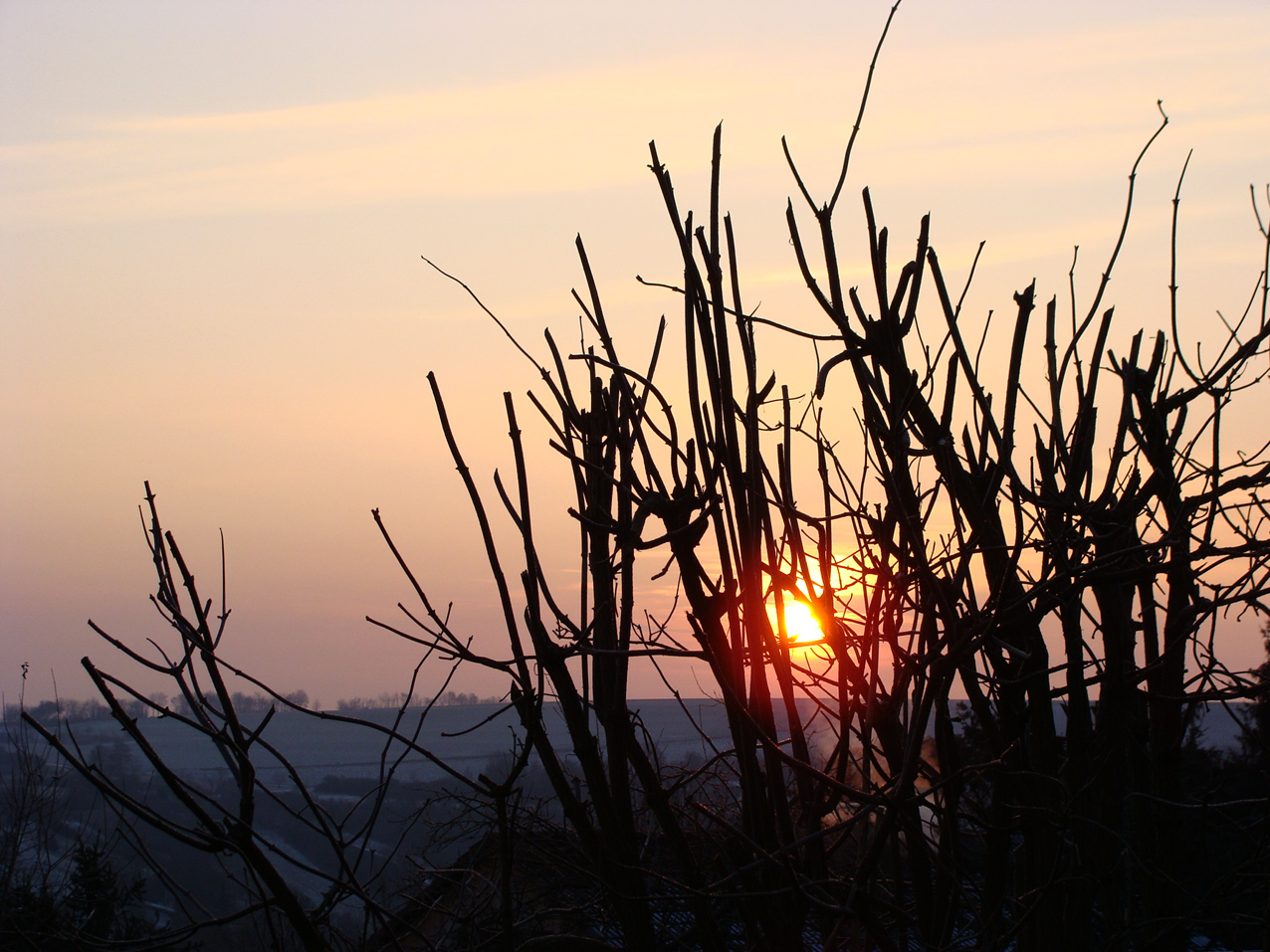 Ein Wintermorgen Im Januar