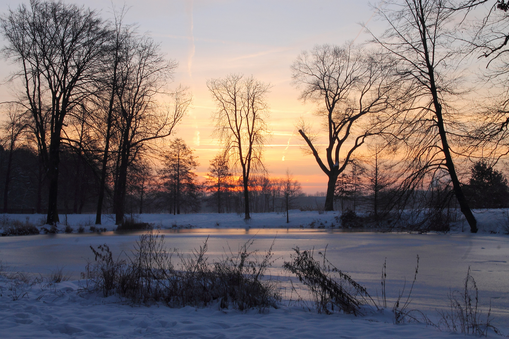 Ein Wintermorgen im Schloßpark