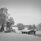 Ein Wintermorgen im Taunus