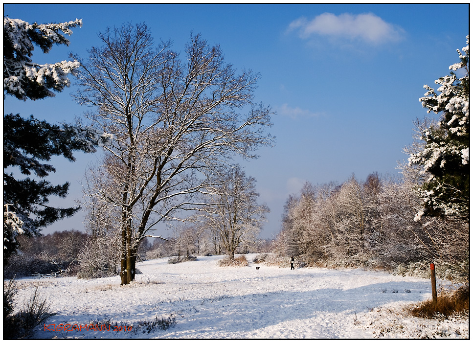 ein wintermorgen in .....