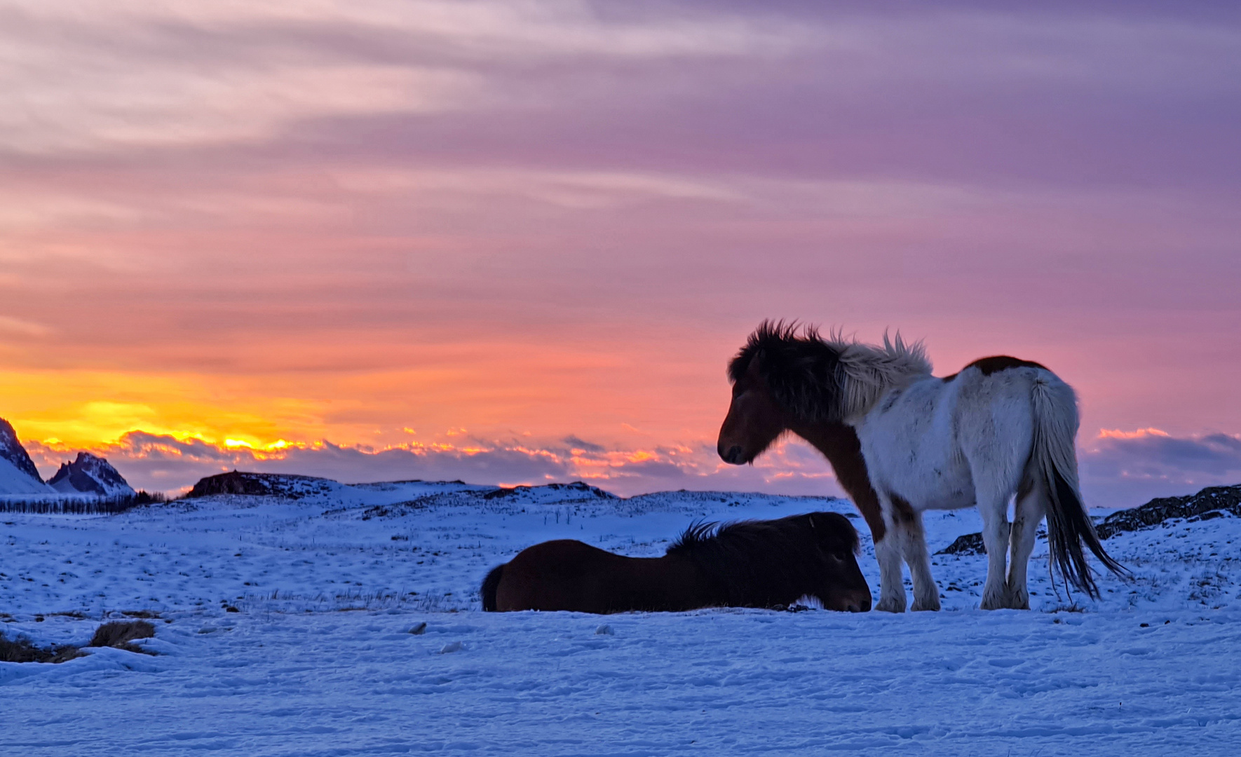 Ein Wintermorgen in Island