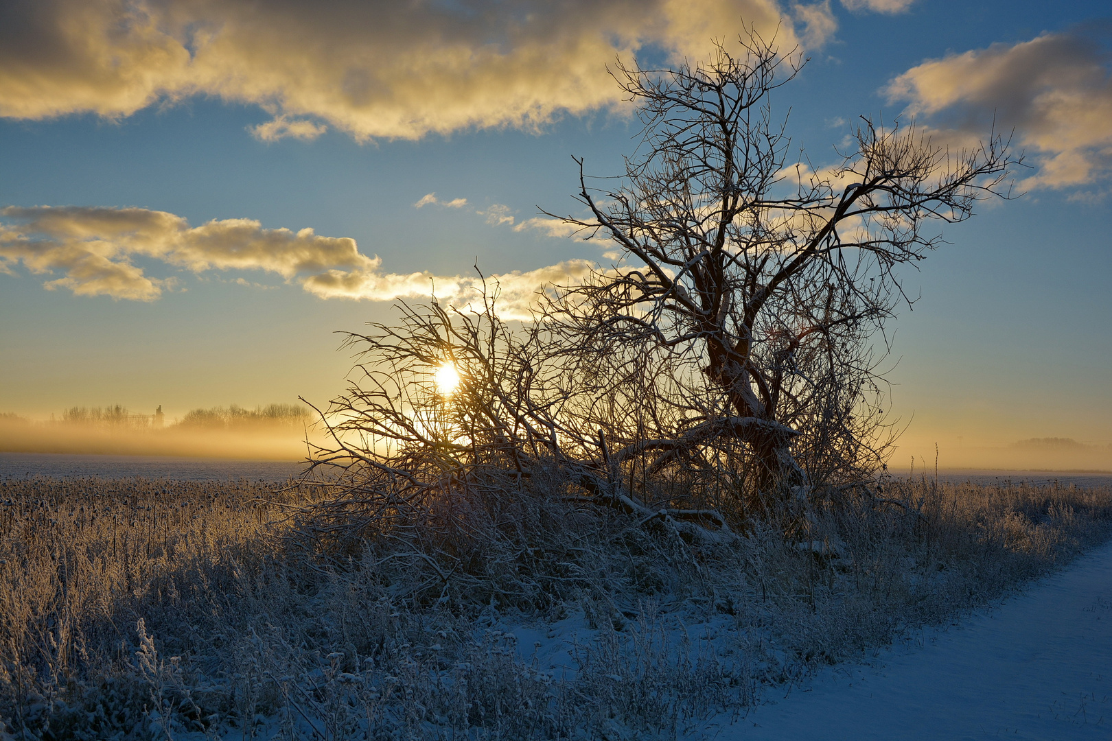 Ein Wintermorgen nach Wunsch