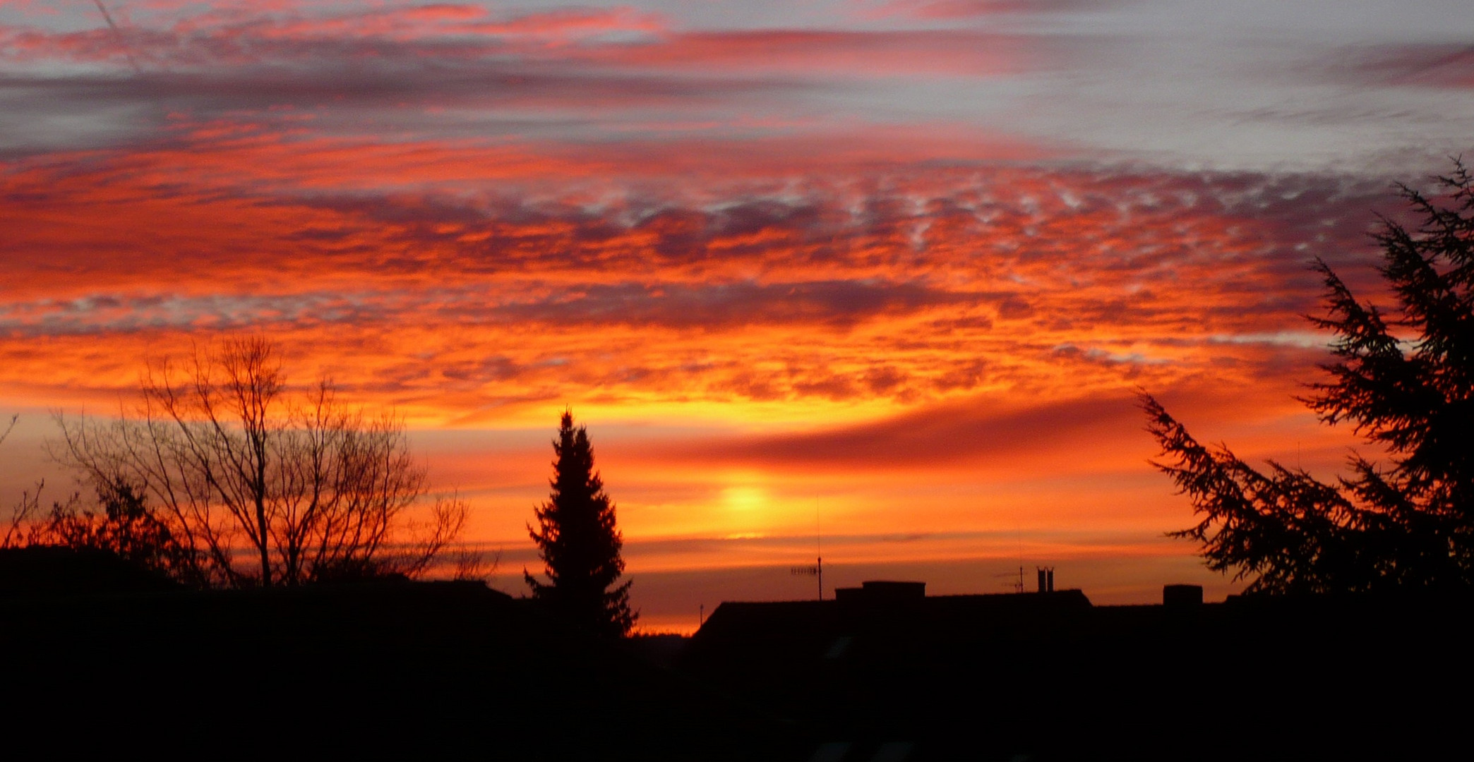 - ein wintermorgen -- Sonnenaufgang -