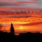 - ein wintermorgen -- Sonnenaufgang -