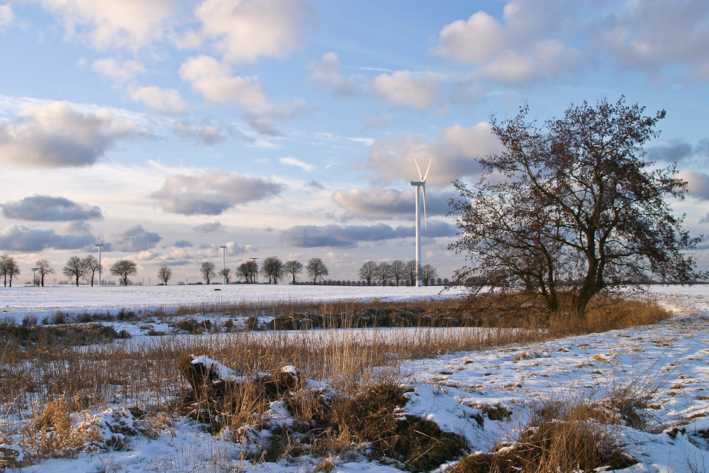 Ein Winternachmittag