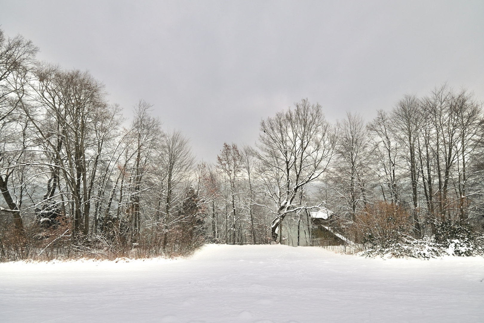 Ein Winternachmittag am See