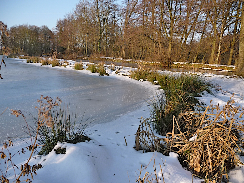 Ein Winternachmittag an der Nette