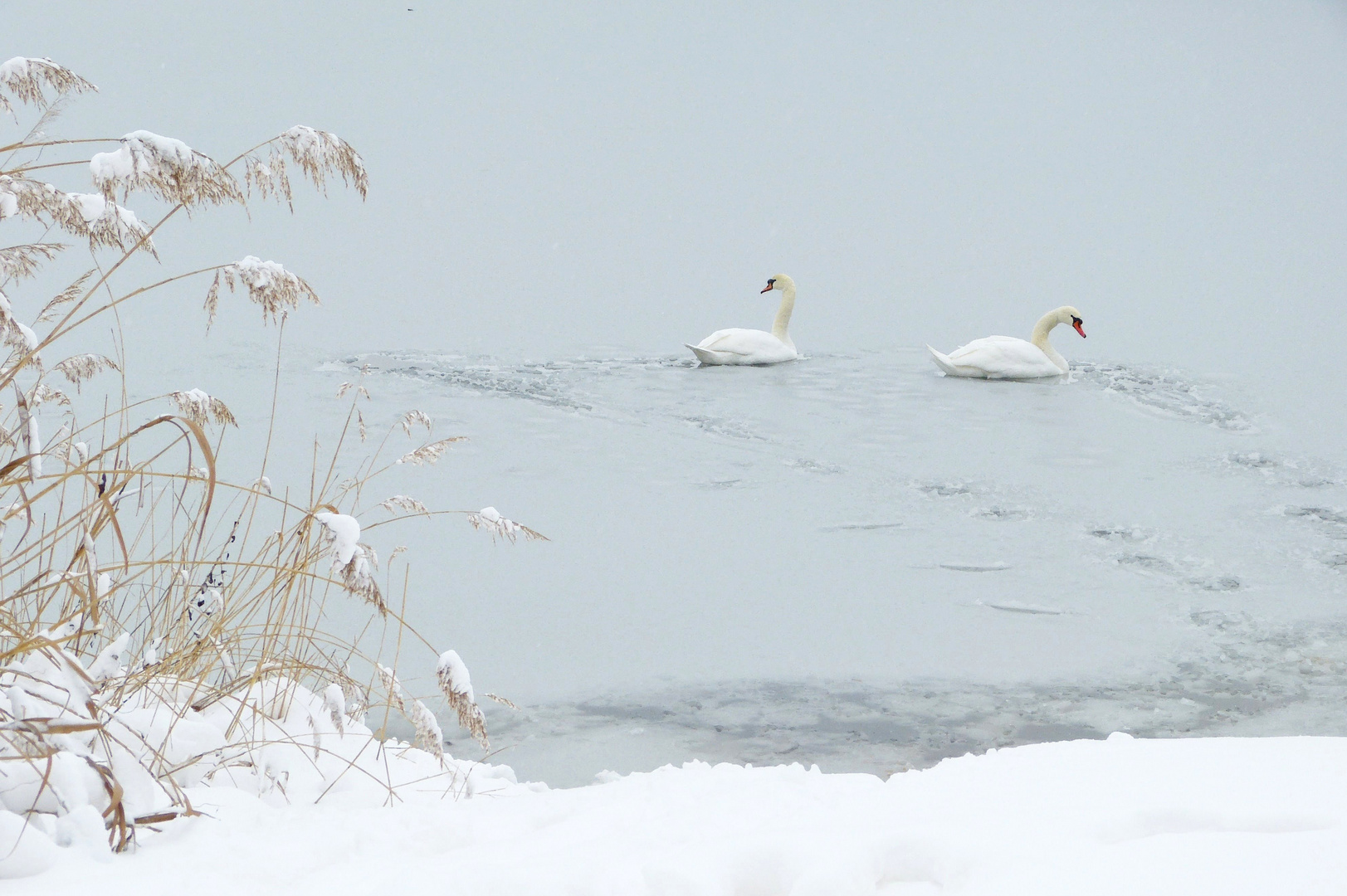 Ein Winterpastell