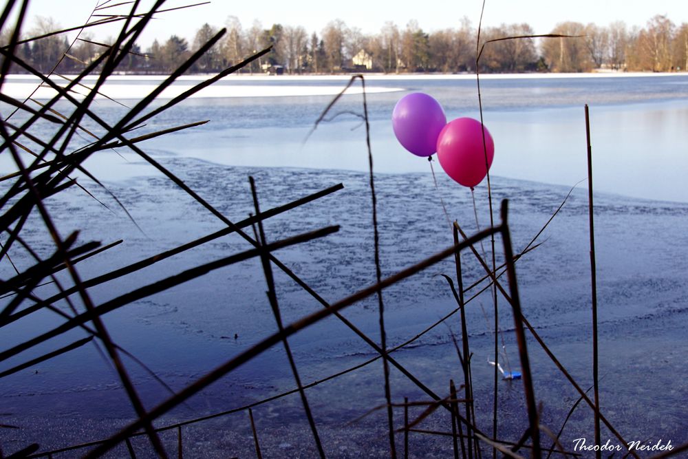  Ein Winterscherz