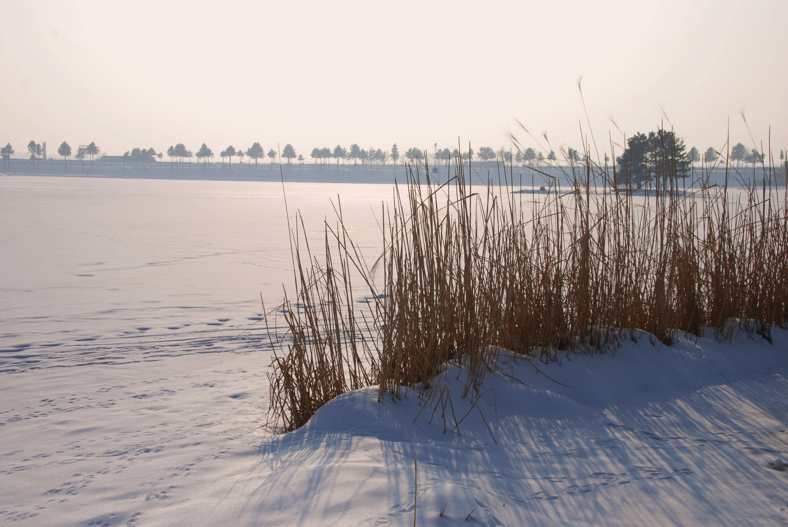 Ein Wintersonnentag am See