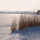 Ein Wintersonnentag am See