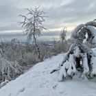 Ein Wintersonntag in unserer schönen Oberlausitz