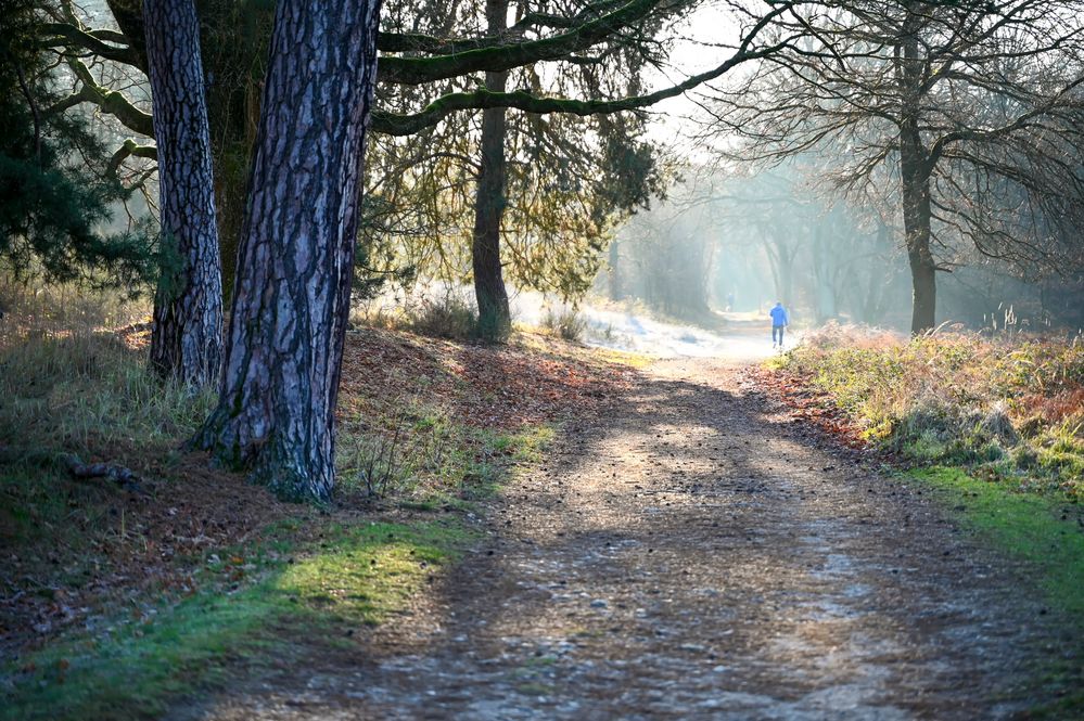 Ein Winterspaziergang