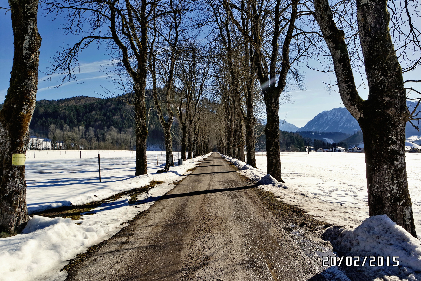 ein Winterspaziergang