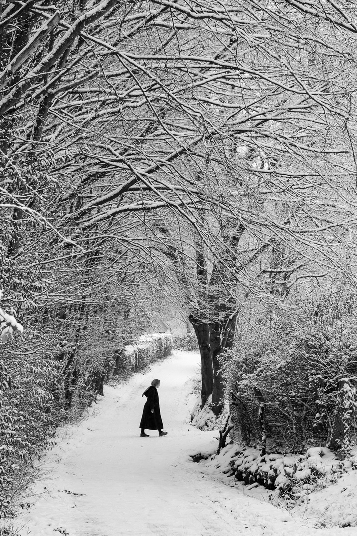 Ein Winterspaziergang