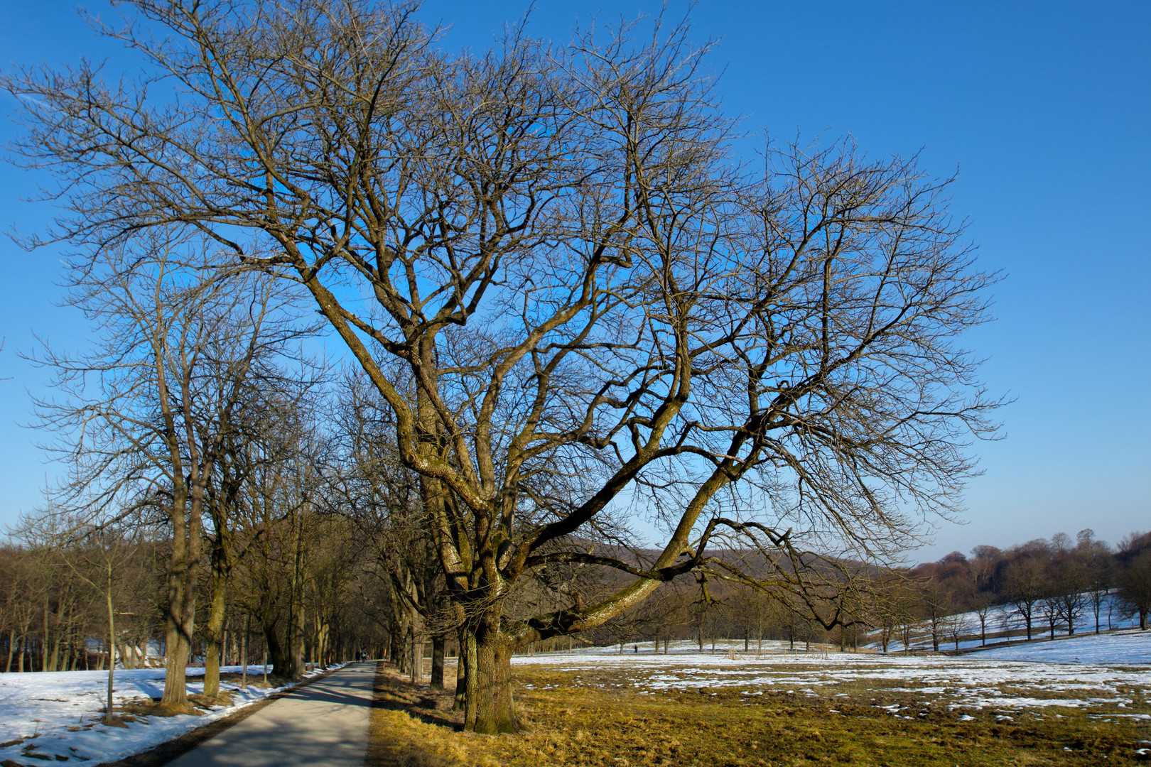 ein Winterspaziergang