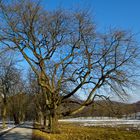 ein Winterspaziergang