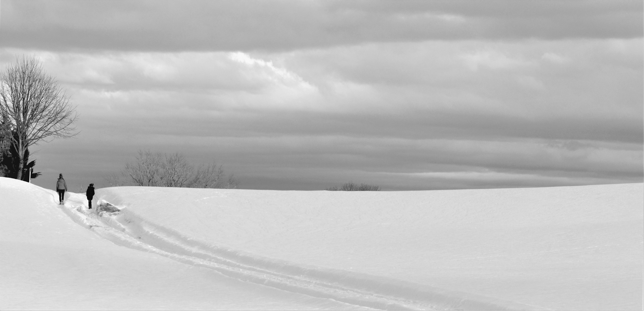 Ein Winterspaziergang