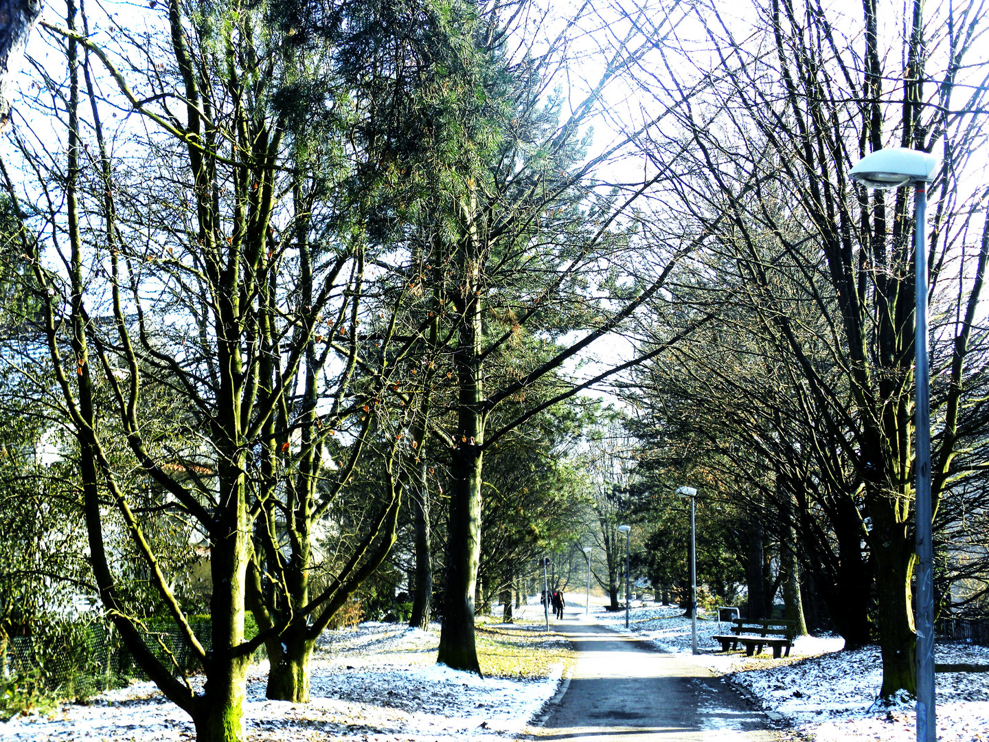 ein  Winterspaziergang