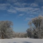 Ein Winterspaziergang II