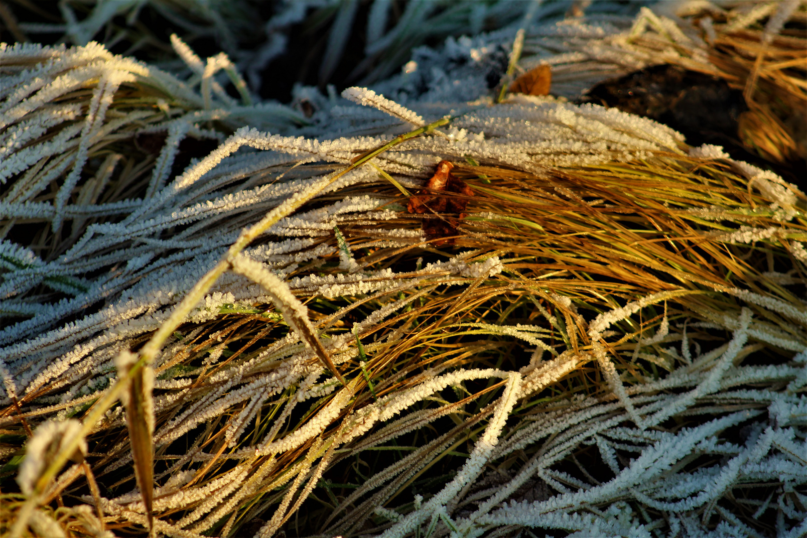 ein Winterstilleben