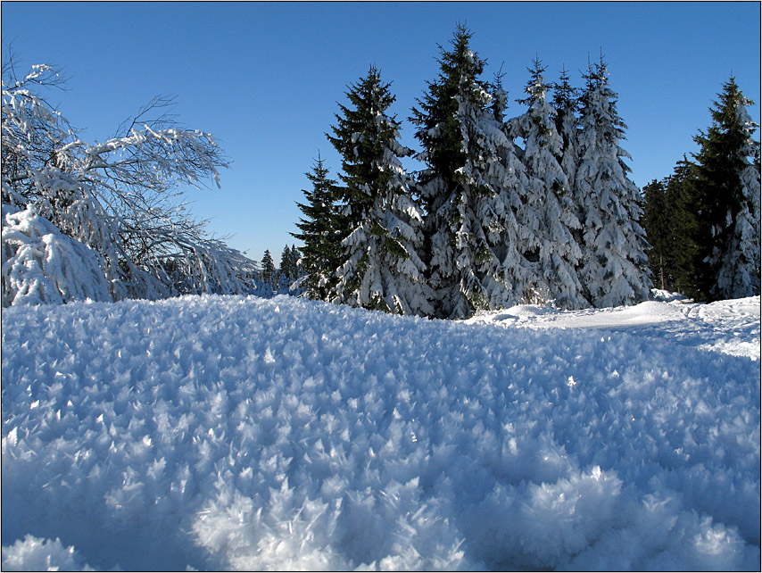 Ein Wintertag