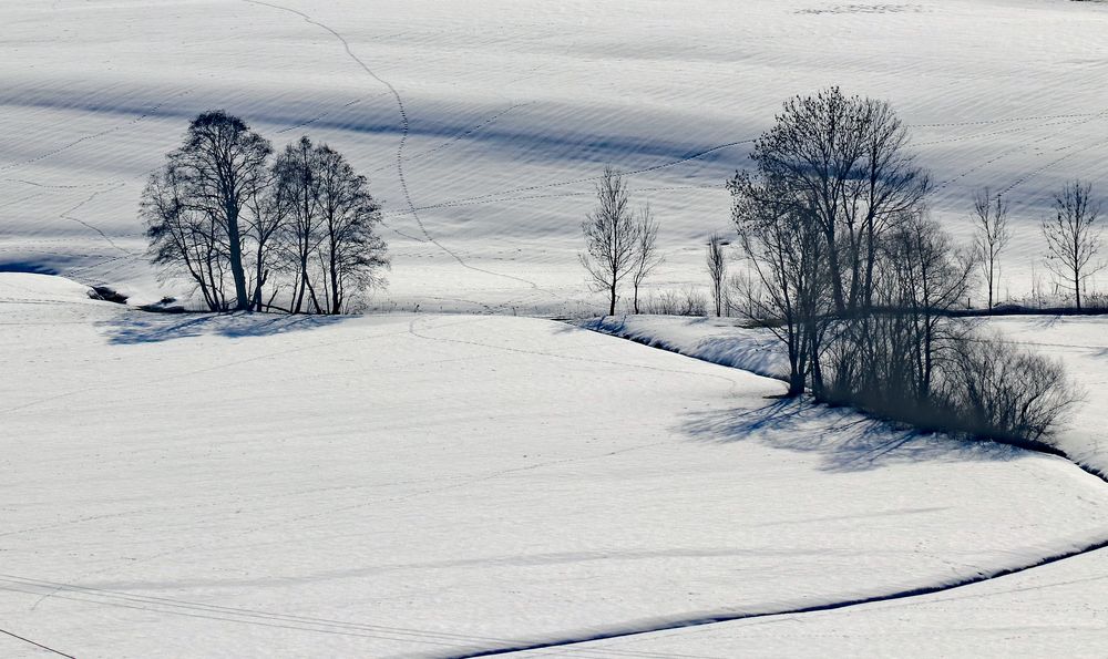 Ein Wintertag 